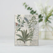 Carte Postale Ferns, Brambles et Fleurs (Debout devant)
