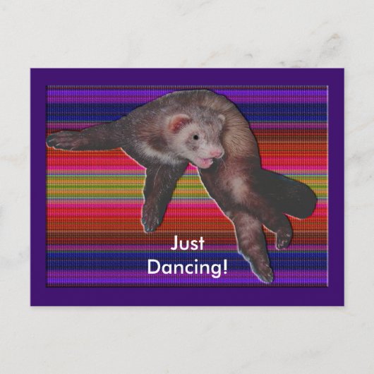 Carte Postale Ferret de danse (Devant)