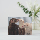 Carte postale Ferret Love (Debout devant)