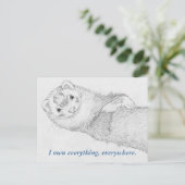 Carte postale Ferret - Pandora Owns (Debout devant)