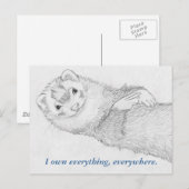 Carte postale Ferret - Pandora Owns (Devant / Derrière)