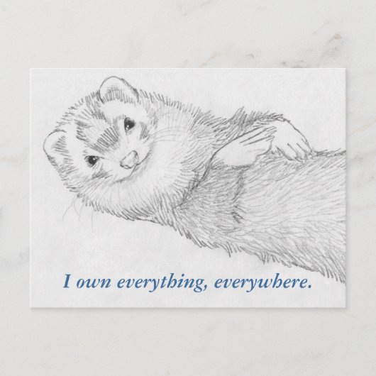 Carte postale Ferret - Pandora Owns (Devant)