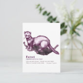 Carte Postale Ferret - vin (Debout devant)