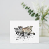 Carte Postale Ferrets (Debout devant)