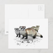 Carte Postale Ferrets (Devant / Derrière)
