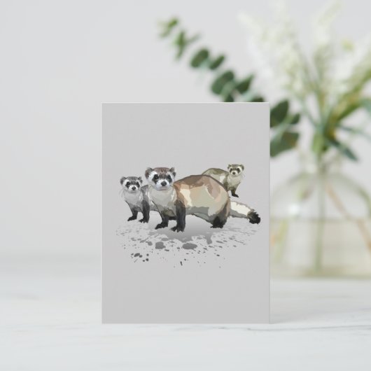 Carte Postale Ferrets (Debout devant)