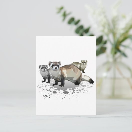 Carte Postale Ferrets (Debout devant)