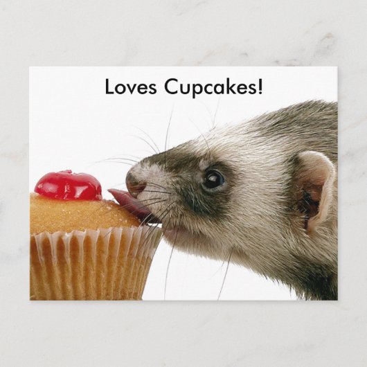 Carte Postale Ferrets Love Cupcakes (Devant)