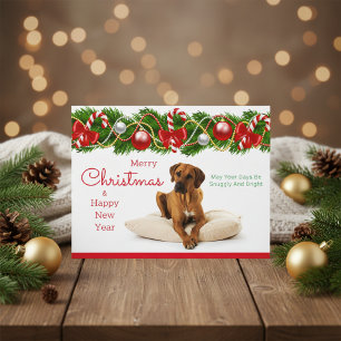 Carte postale Festin Rhodesian Ridgeback Christmas