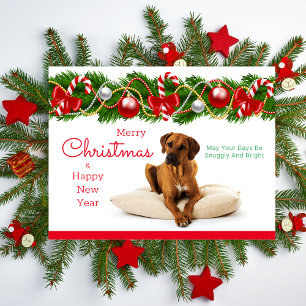 Carte postale Festin Rhodesian Ridgeback Christmas