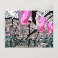 Festival de fleurs de cerisiers de la rivière Megu
