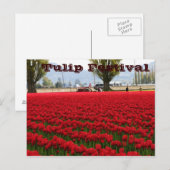 Carte Postale Festival de tulipe (Devant / Derrière)