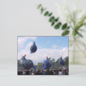 Carte Postale Festival du ballon chaud (Debout devant)
