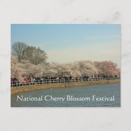 Carte Postale Festival national de fleurs de cerises Washington  (Devant)