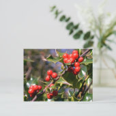 Carte postale Festive Berries (Debout devant)