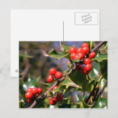 Carte postale Festive Berries (Devant / Derrière)