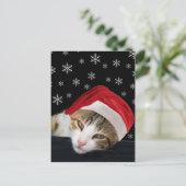 Carte postale Festive Cat Christmas (Debout devant)