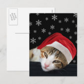 Carte postale Festive Cat Christmas (Devant / Derrière)