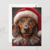 Carte Postale Festive Dachshund à Père Noël Attire (Devant / Derrière)