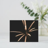 Carte postale Festive Fireworks (Debout devant)