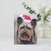 Carte postale Festive Holiday (Debout devant)