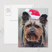 Carte postale Festive Holiday (Devant / Derrière)