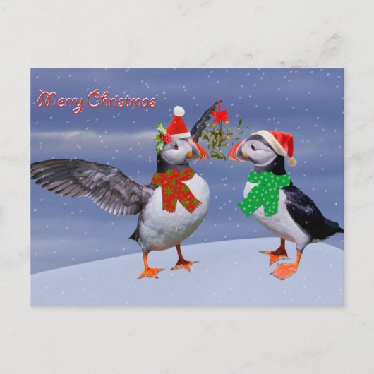 Carte postale Festive Puffins (Devant)
