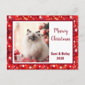 Carte postale Festive Rouge et Blanc (Devant)