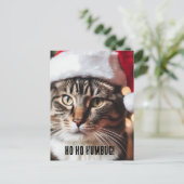 Carte Postale Festive Tabby (Debout devant)