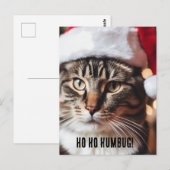 Carte Postale Festive Tabby (Devant / Derrière)