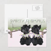 Carte Postale Fête Animale des Terriers Écossais (Devant / Derrière)