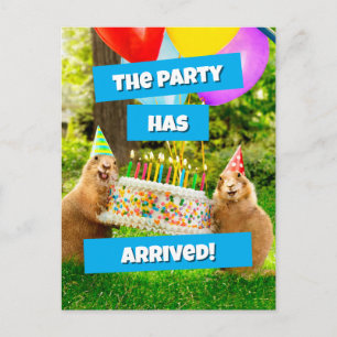 Carte Postale Fête d'anniversaire de chien de prairie