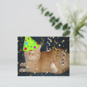 Carte Postale Fête d'anniversaire Orange Tabby Cat (Debout devant)