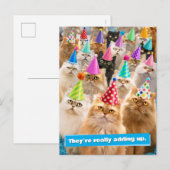 Carte Postale Fête de chats (Devant / Derrière)