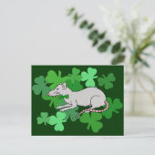 Carte Postale Fête de la Saint-Patrick Rat (Debout devant)