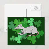 Carte Postale Fête de la Saint-Patrick Rat (Devant / Derrière)