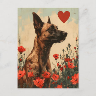 Carte Postale Fête de la Saint-Valentin Vintage des Malinois