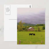 Carte Postale Fête de la tempête (Devant / Derrière)