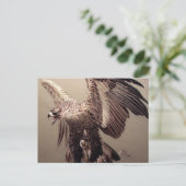 Carte Postale Fête de l'Indépendance Aigle Patriotique Broderie (Debout devant)