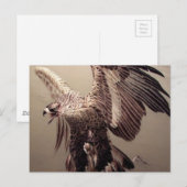 Carte Postale Fête de l'Indépendance Aigle Patriotique Broderie (Devant / Derrière)