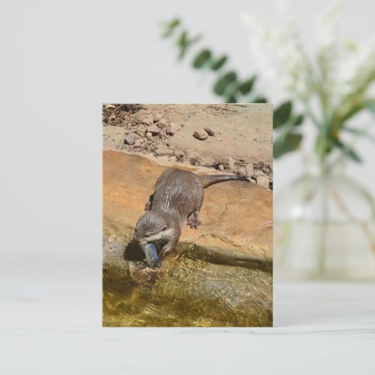 Carte Postale **"Fête de Pondside : Un Otter et son Catch"** (Debout devant)