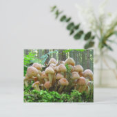 Carte Postale fête des champignons (Debout devant)