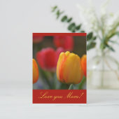 Carte Postale Fête des mères (Debout devant)