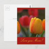 Carte Postale Fête des mères (Devant / Derrière)