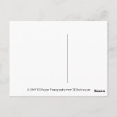 Carte postale Fête des mères (Dos)