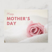Carte Postale Fête des mères de rose douce (Devant)