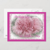 Carte Postale Fête des Mères Fleurs de Rose Escalade rose (Devant / Derrière)