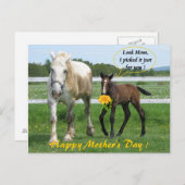 Carte Postale Fête des Mères Horsy (Devant / Derrière)