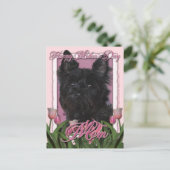 Carte Postale Fête des mères - Tulipes roses - Cairn Terrier - R (Debout devant)