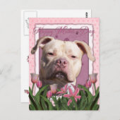 Carte Postale Fête des mères - Tulipes roses - Pitbull - Jersey  (Devant / Derrière)